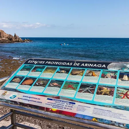 Arinaga Playa 2