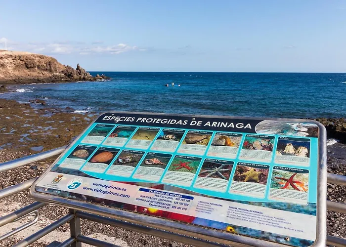 Arinaga Playa 2